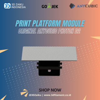 Original Anycubic Photon D2 Print Platform Module